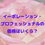 イーポレーション・プロフェッショナルの価格はいくら？